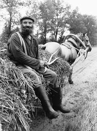 {short description of image}