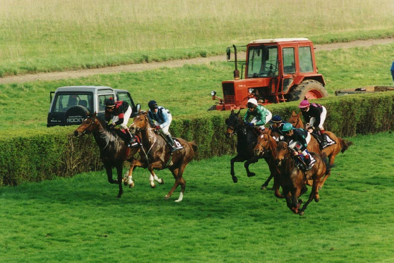 Heisses Pferderennen im Scheibenholz